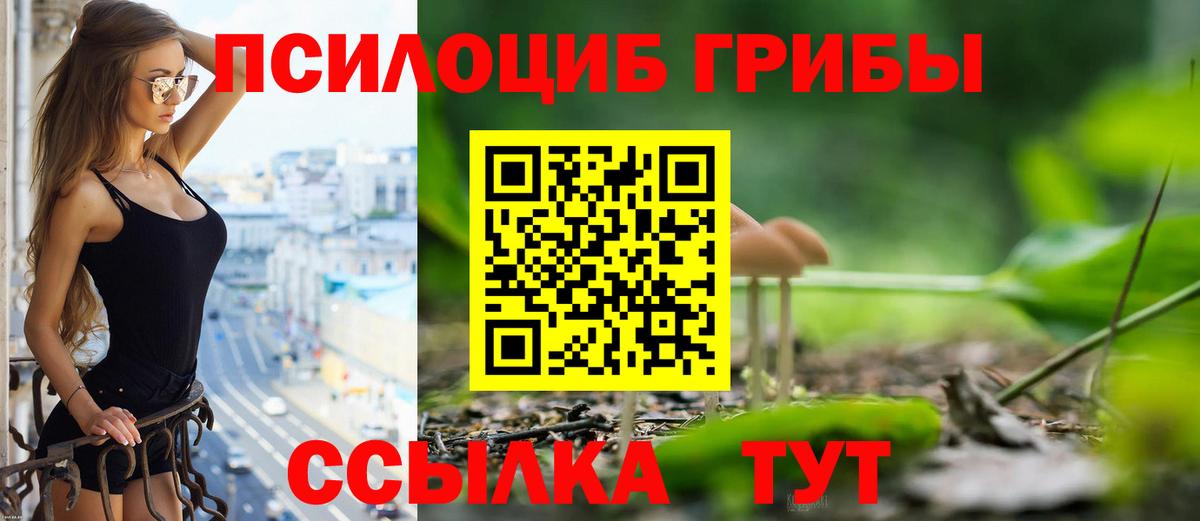 Псилоцибиновые грибы MAGIC MUSHROOMS  Вход с VPN  купить наркотик  Галлюциногенные грибы Psilocybine cubensis  Чистополь 